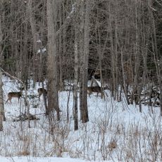 Quackenbush Provincial Park