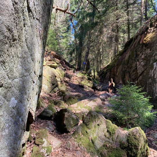 Bråtaskogen nature reserve