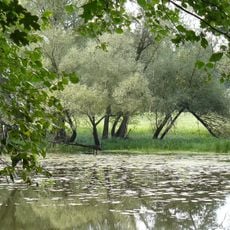 Żerków-Czeszewo Landscape Park