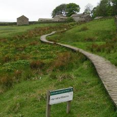 Hannah's Meadows