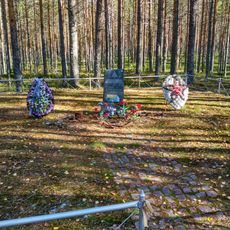 Братская могила советских воинов (Питкярантское г.п.)