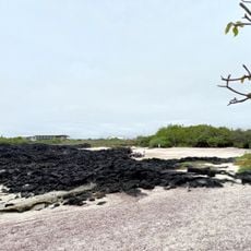 La Ratonera