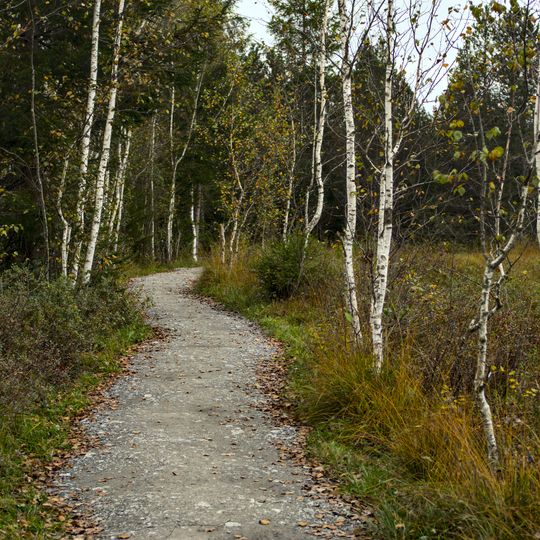 Schutz von Landschaftsteilen des Tiefenberger Mooses