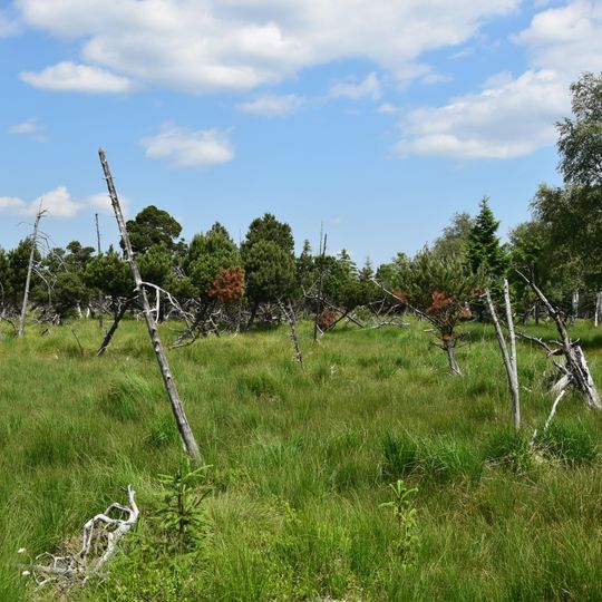 Novodomské rašeliniště – Kovářská