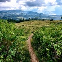 Negros Island Region