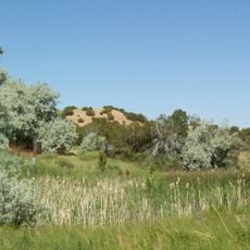 Leonora Curtin Wetland Preserve