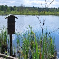 Schwenninger Moos