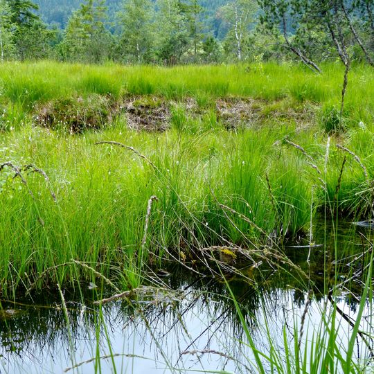 Schutz des Grüntengebietes, des Großen Waldes, der Deutschen Alpenstraße und des Wertachtales