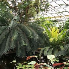 Botanical Garden of Košice