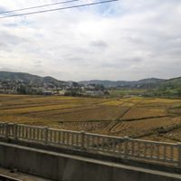 Yangtang