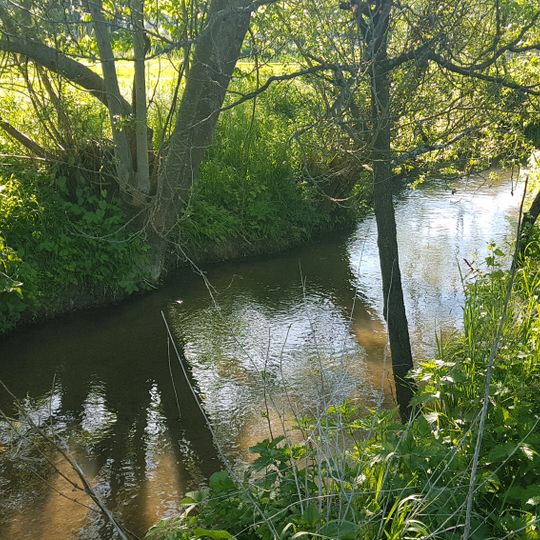 Wasserschutzgebiet Tauberaue, Lauda-Königshofen