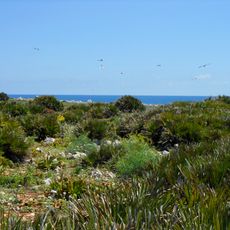 Isola di Capo Passero