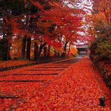 Bishamon-dō Temple