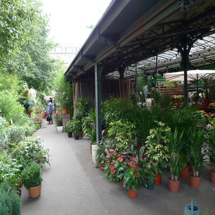 Marché aux Fleurs Reine Elizabeth II