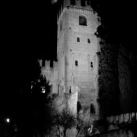 Conegliano