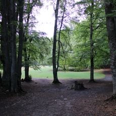 Riserva regionale Bosco di Sant'Antonio