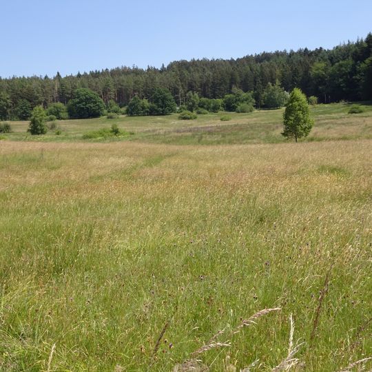 Gras-Ellenbacher Wiesen