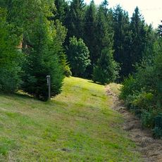 Enzianwiese in Eidenberg