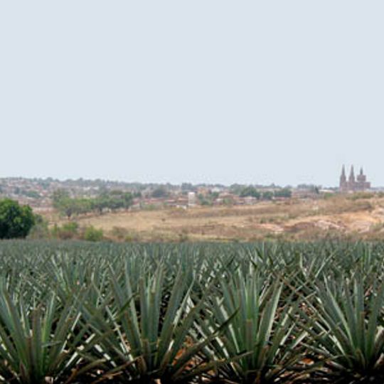 Arandas Municipality