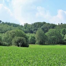 Bachschwinde mit Doline Brauckstück