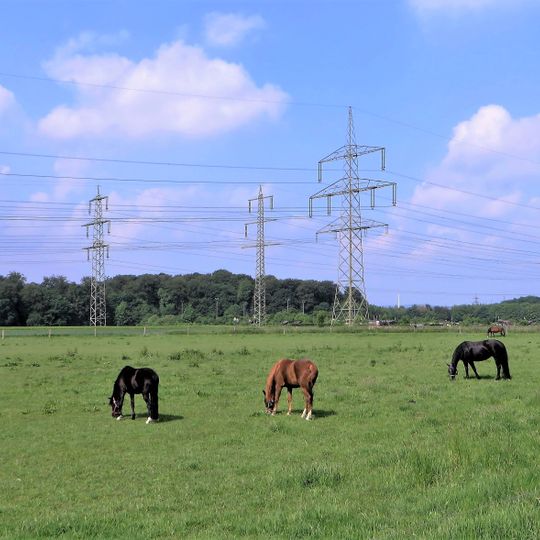 Landschaftsschutzgebiet Garenfeld