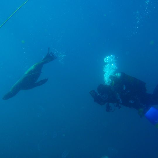 North Paw main reef