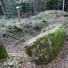 Vizgaudziai boulder "The Coffin"