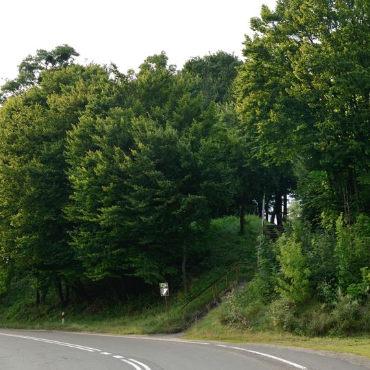 Ruiny rezydencji biskupów chełmskich