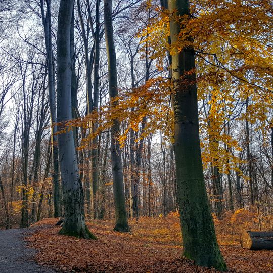 Independence Park in Tarnów