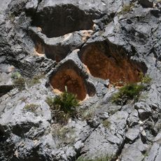 Pla de Petracos (Abric VIII)