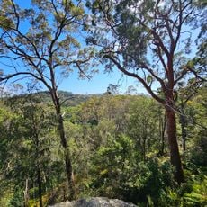 Angophora Reserve