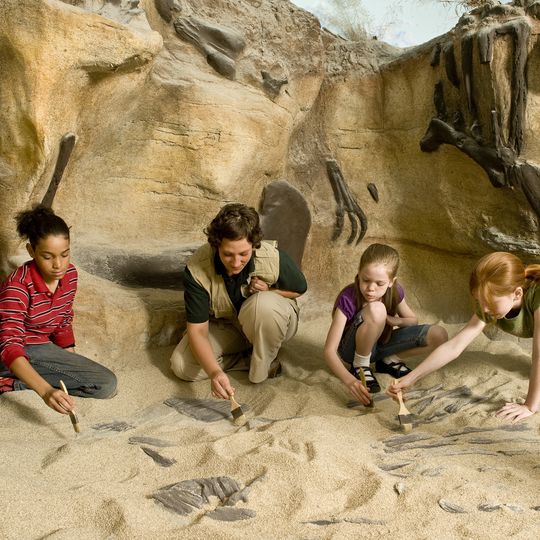 Discovery Depot at Nature's Art Village