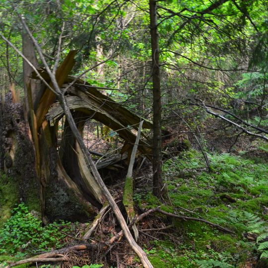 Костянтинівський лісовий заказник