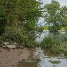 Naturschutzgebiet Erbacher Wäldchen