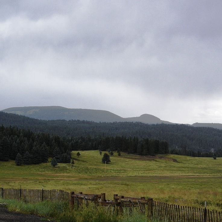 Las Narodowy Santa Fe