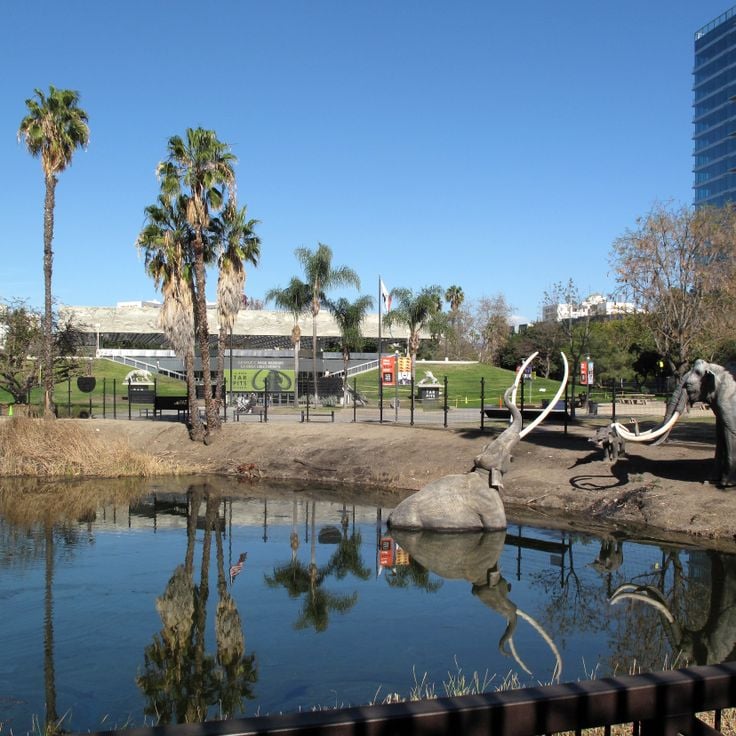 La Brea Tar Pits & Museum