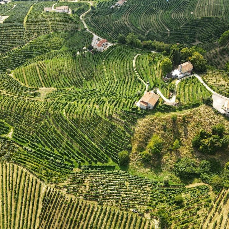 Colline del Prosecco di Valdobbiadene e Conegliano