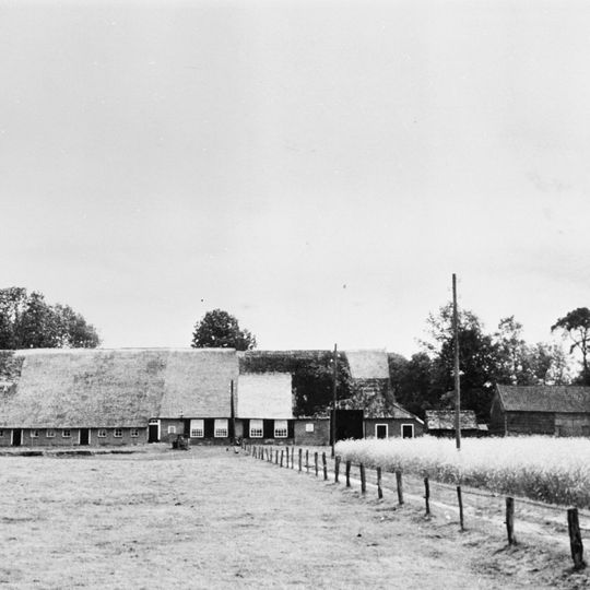 Boerderij met rieten kap