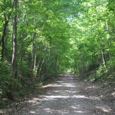 Sulphur Trestle Fort Site