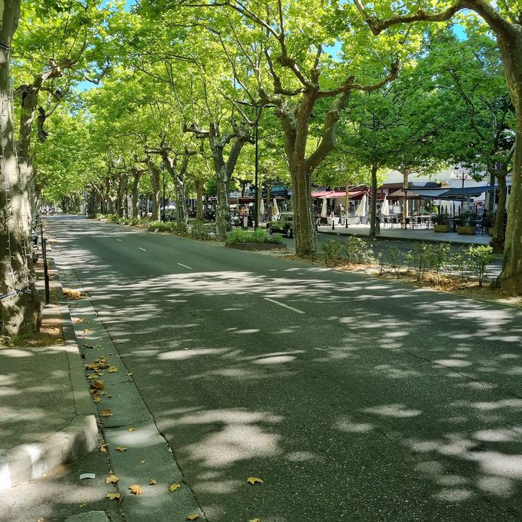 Allées Provençales