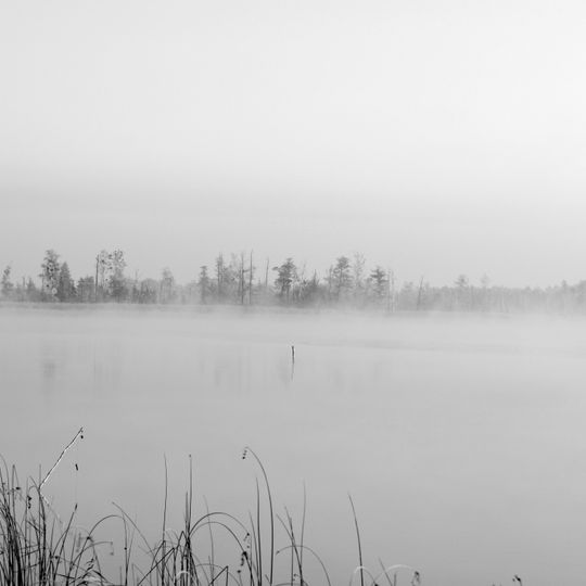 Rivne Nature Reserve