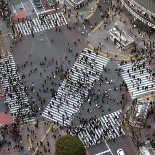 Shibuya Crossing