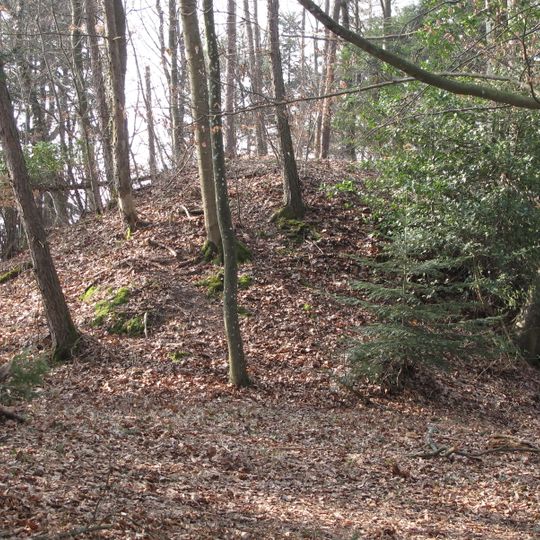 Burg Galgenbühl, Dreisamtal-Breisgau
