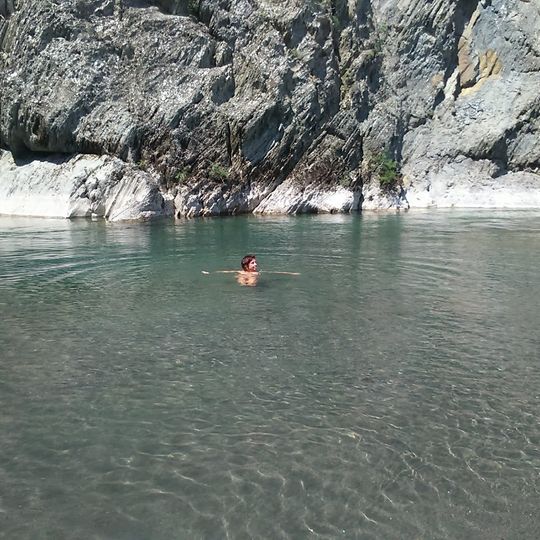 Secchiello Selvaggio