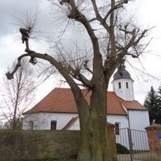 Naturdenkmal Sommerlinde in Lieskau