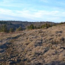 Lande de la Flotte et du Cluzeau