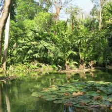 Guillermo Piñeres Botanical Garden