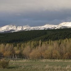 Roosevelt National Forest