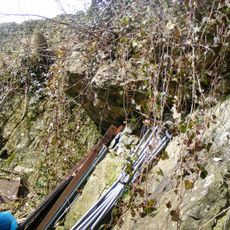 Hobbs Quarry SSSI, Shepton Mallet