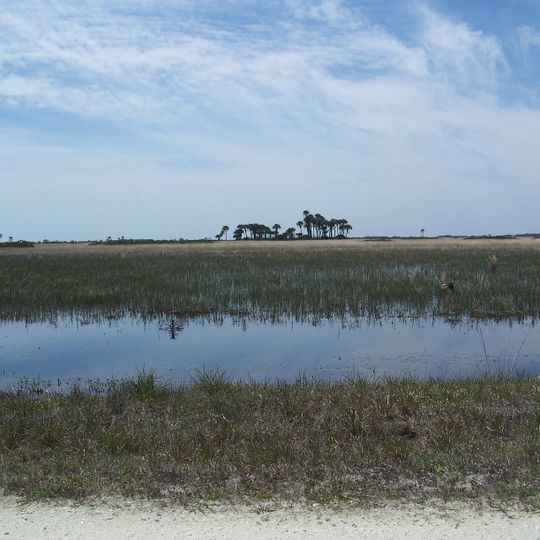Parc d'État de Kissimmee Prairie Preserve